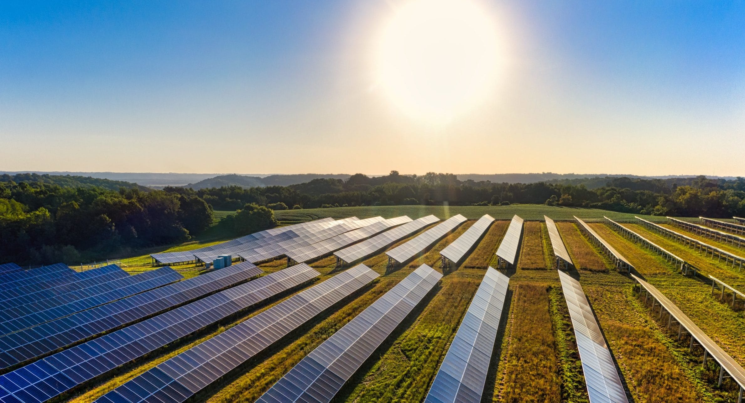 What’s agrivoltaic technology? Solar farming combo has many benefits — and critics Feature Image